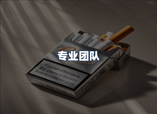 专业团队